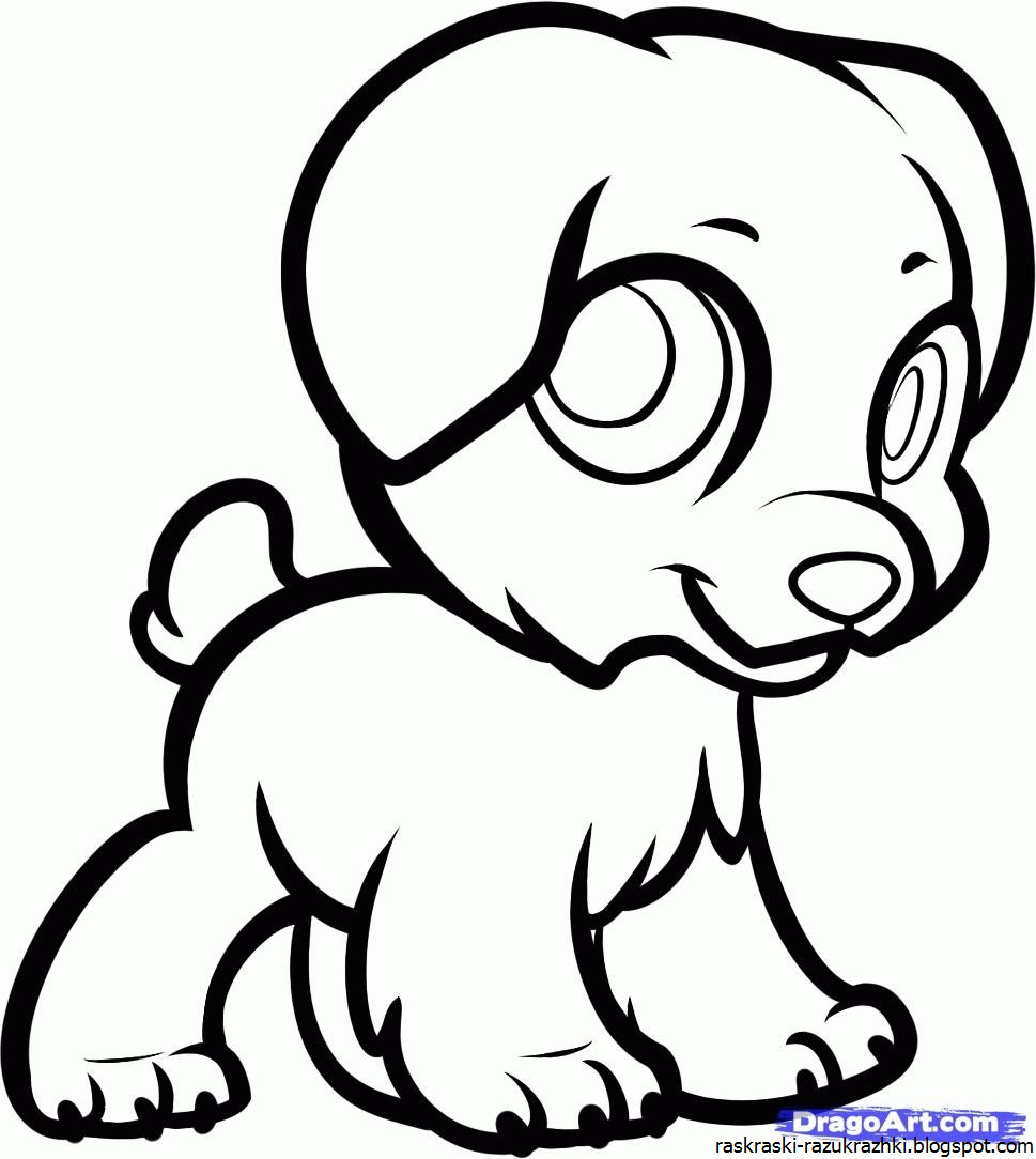 Собака карандашом легко для детей. Собачка рисунок. Рисунок щенка для срисовки. Рисунки собак для срисовки лёгкие. Картинки собак для срисовки.