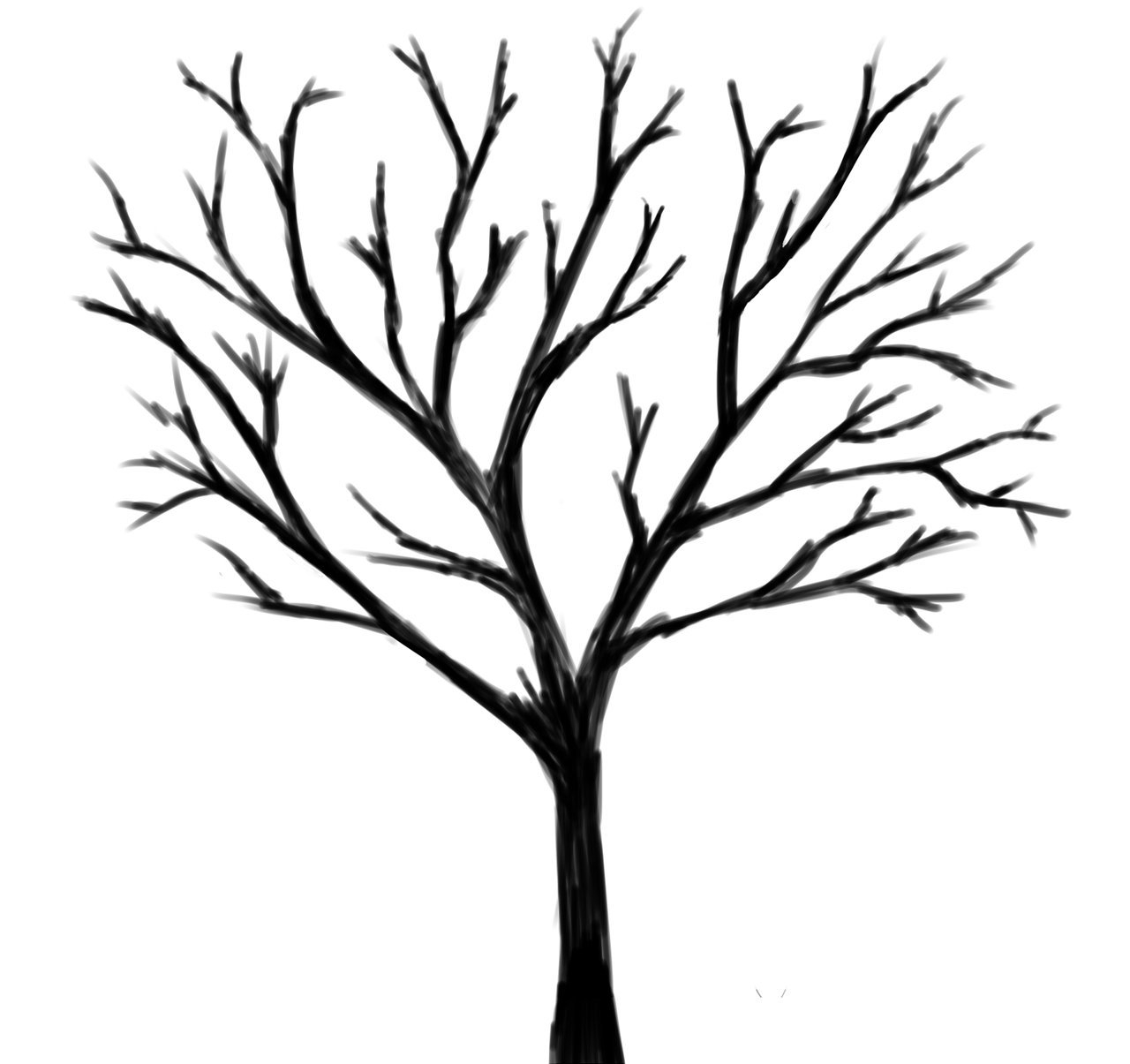 Раскраски Дерево без листьев