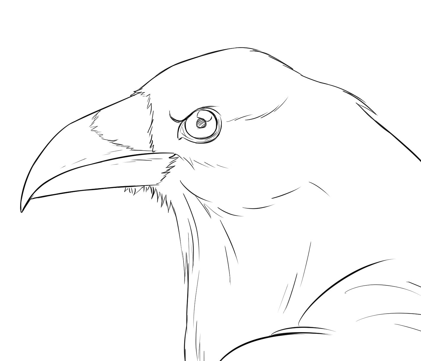 Ворона из фильма рисунок карандашом