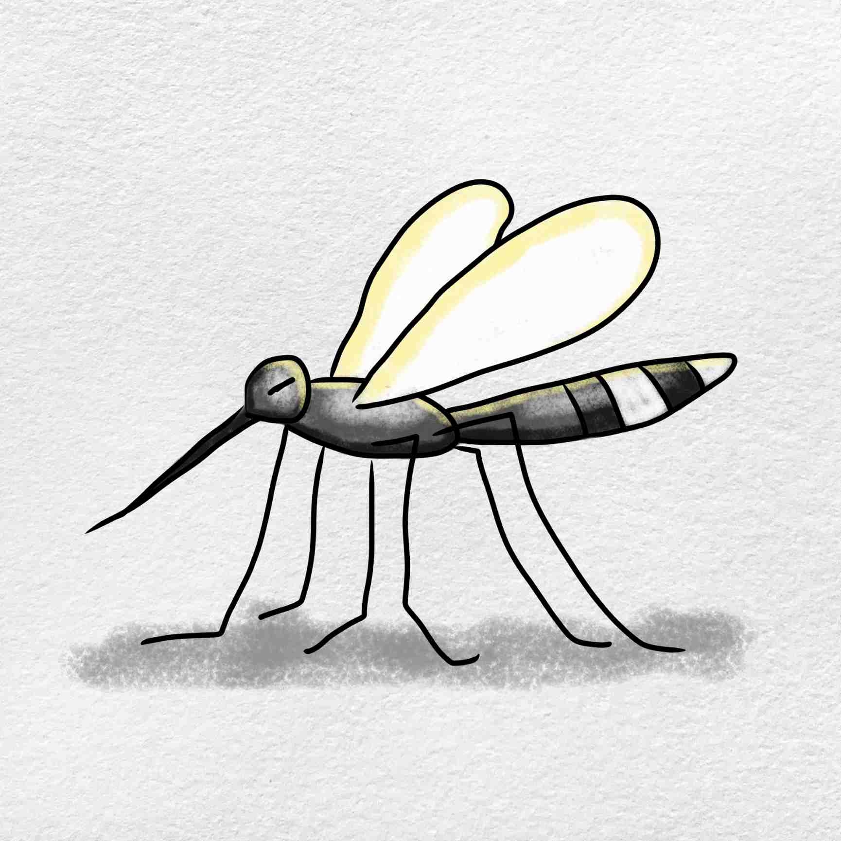 Комар рисунок карандашом