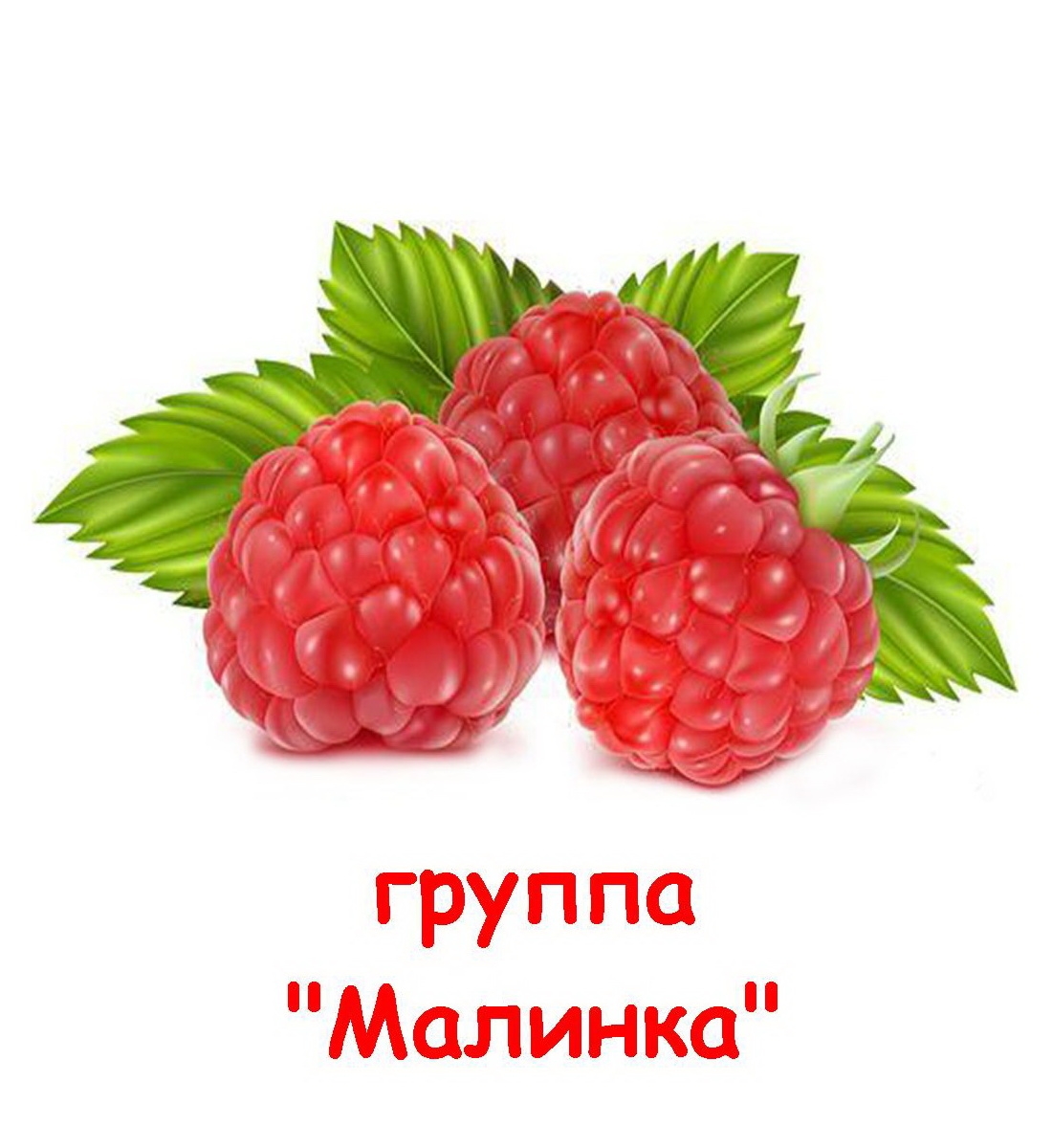 Малина для срисовки