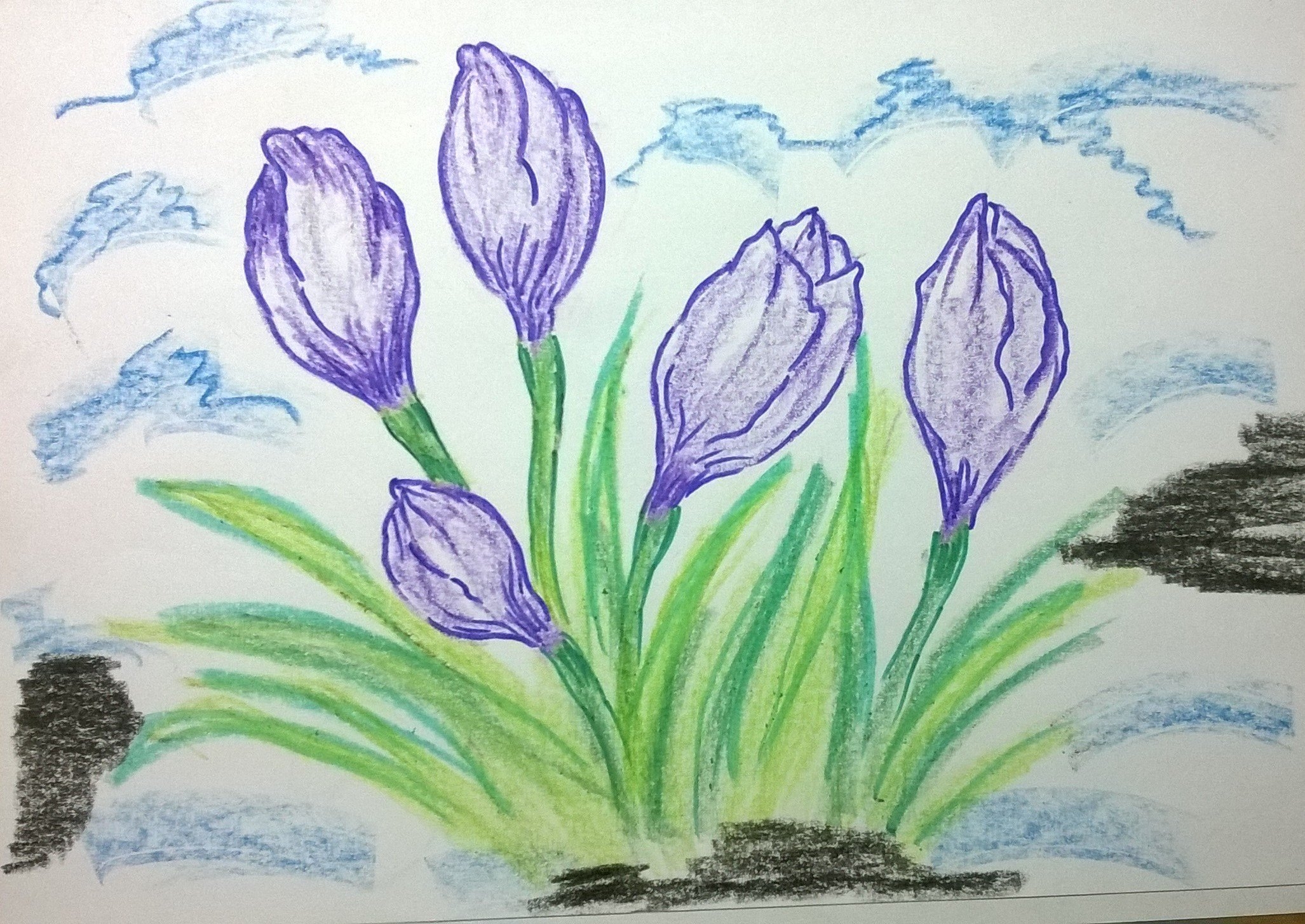 Рисование первых весенних цветов