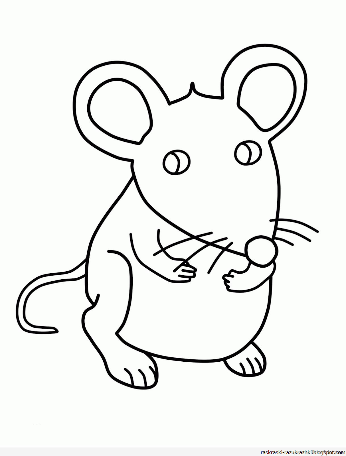 Как нарисовать мышь карандашом для начинающих поэтапно