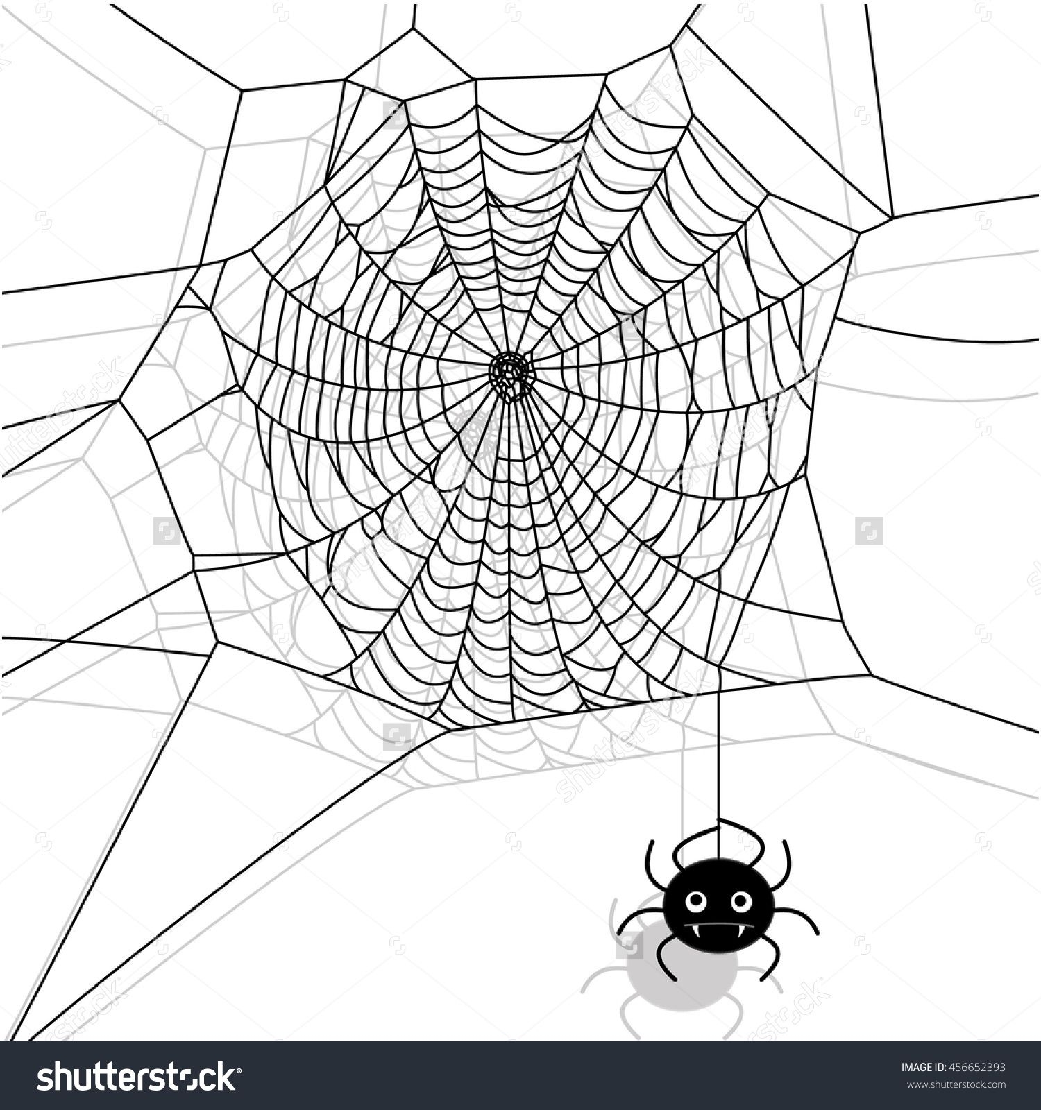 Паутина с пауком в углу