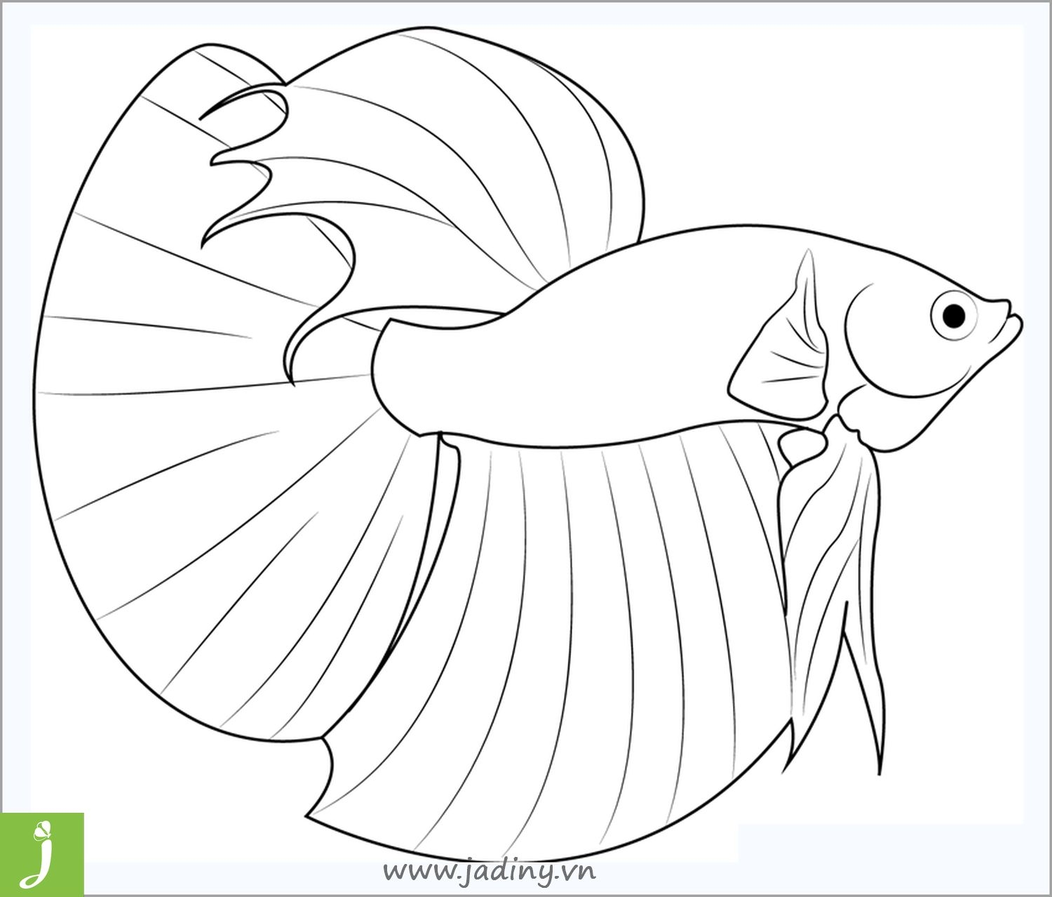 Аквариумная рыбка петушок раскраска