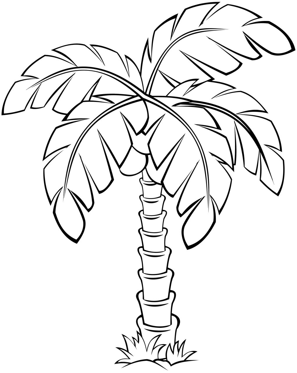 Раскраска Кокосовая пальма для детей
