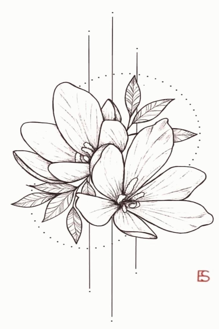 рисуем карандашом цветы