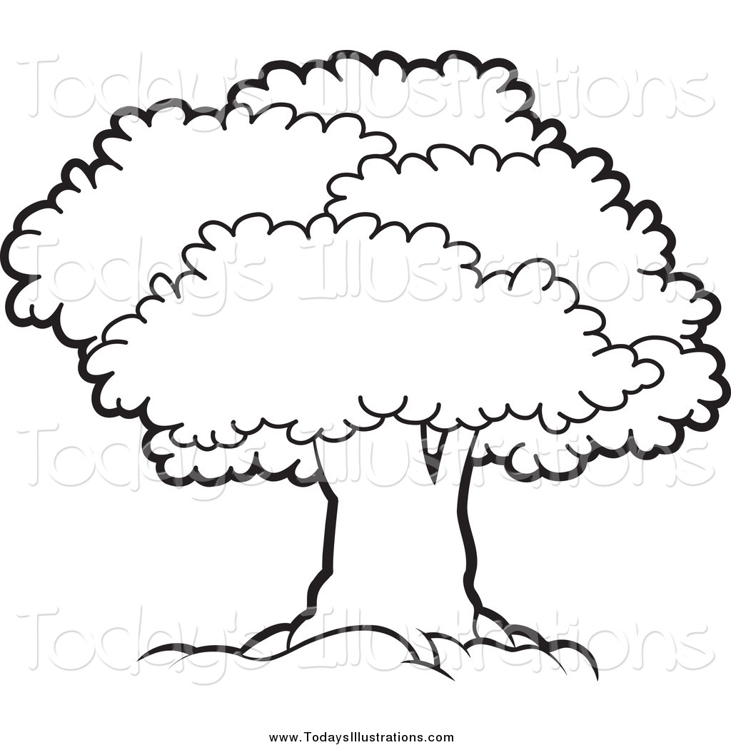 Дерево с большой кроной раскраска