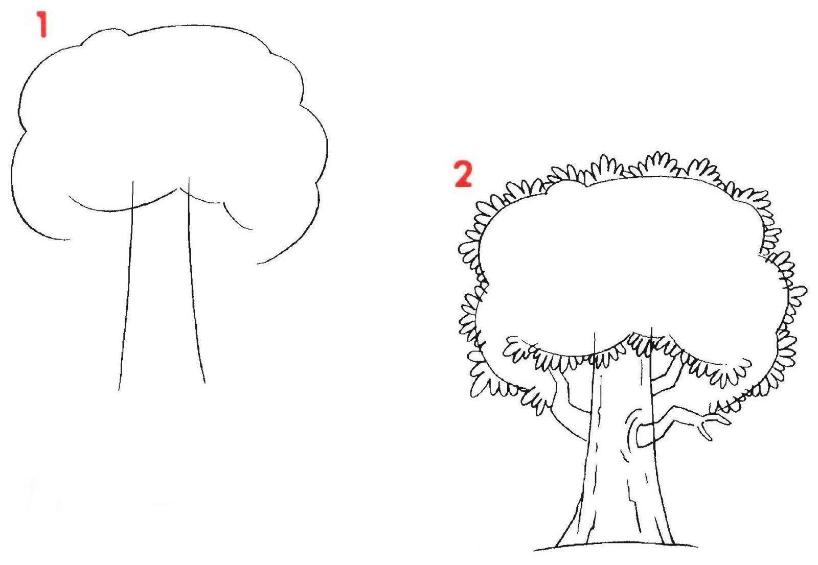 Рисунок дуб для детей карандашом - 44 фото