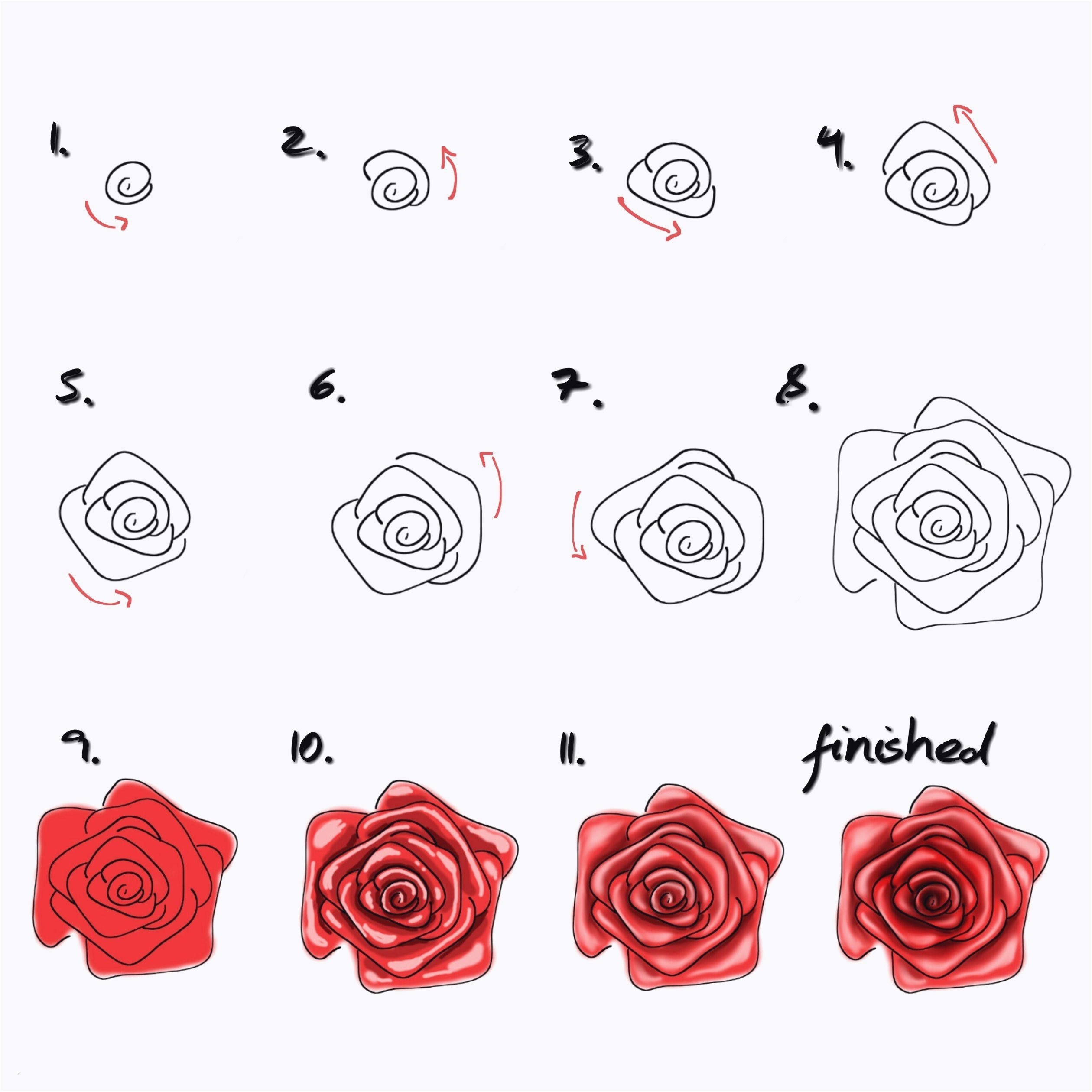 Розочек как правильно. Поэтапное рисование розы. Поэтапное рисование розы карандашом.