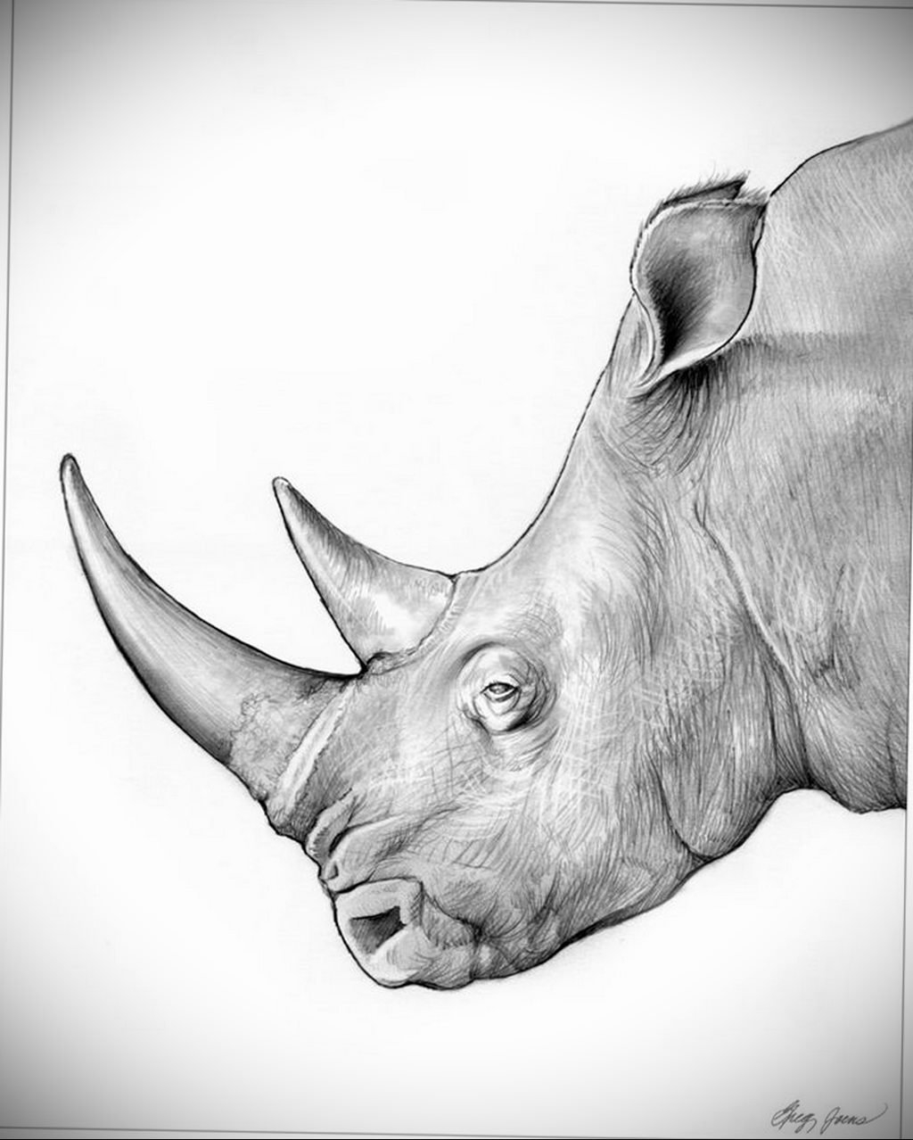 Как нарисовать носорога карандашом поэтапно