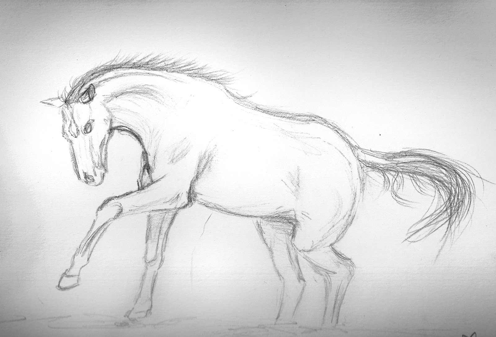 Картинки лошадей карандашом
