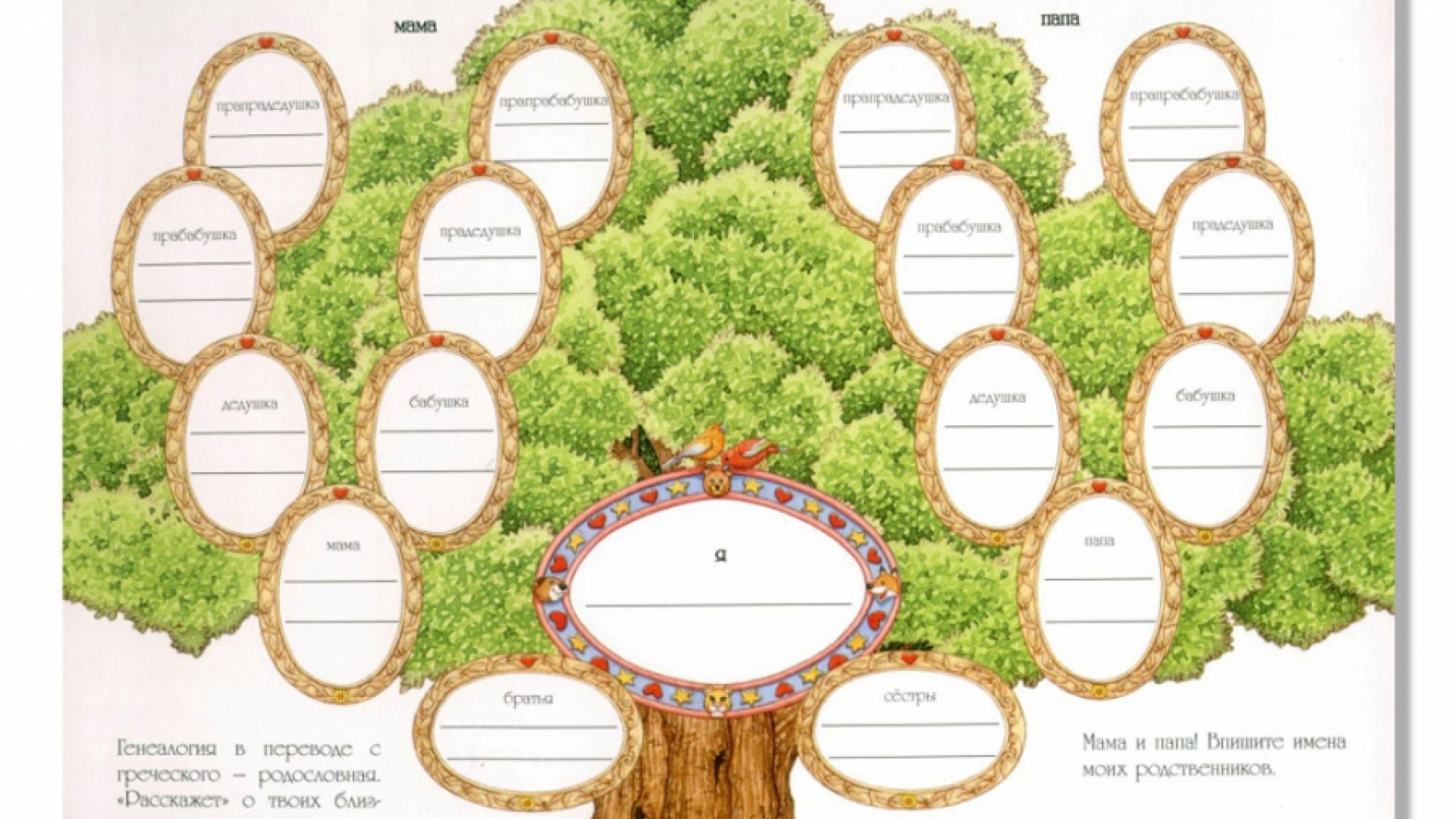Генеологичне дерево для детского сада рисунок