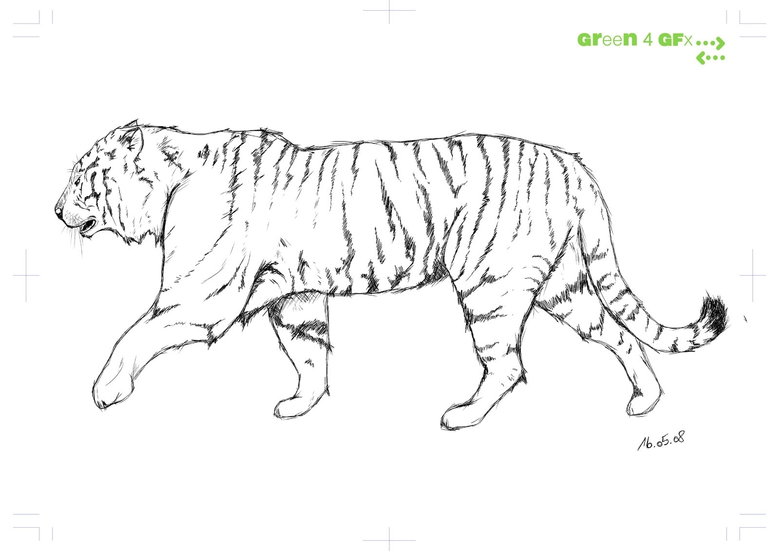 Тигр сбоку рисунок