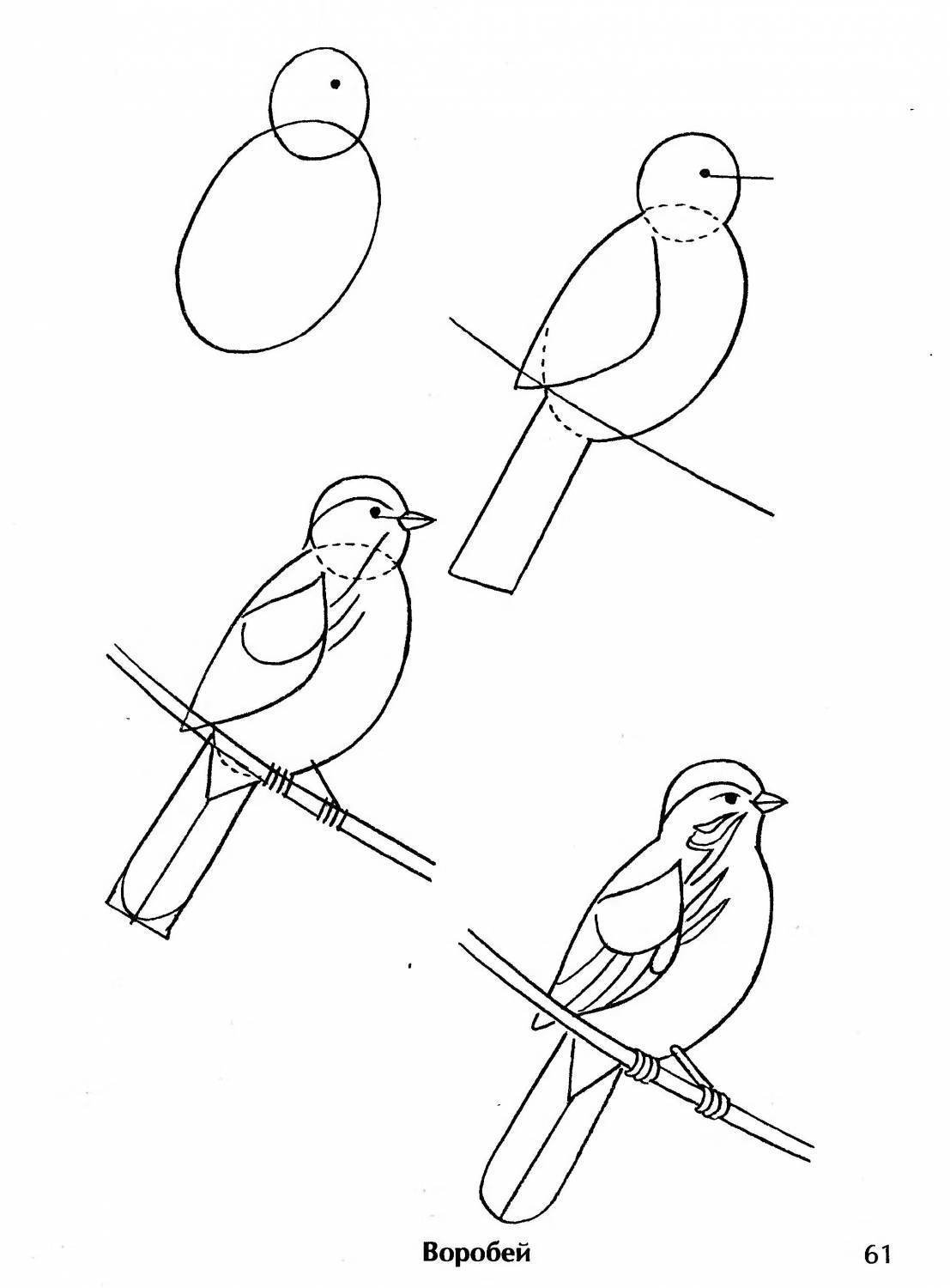 Как нарисовать скворца поэтапно карандашом