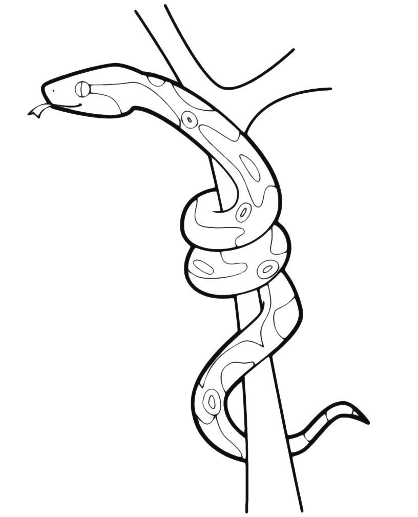 Змея на ветке