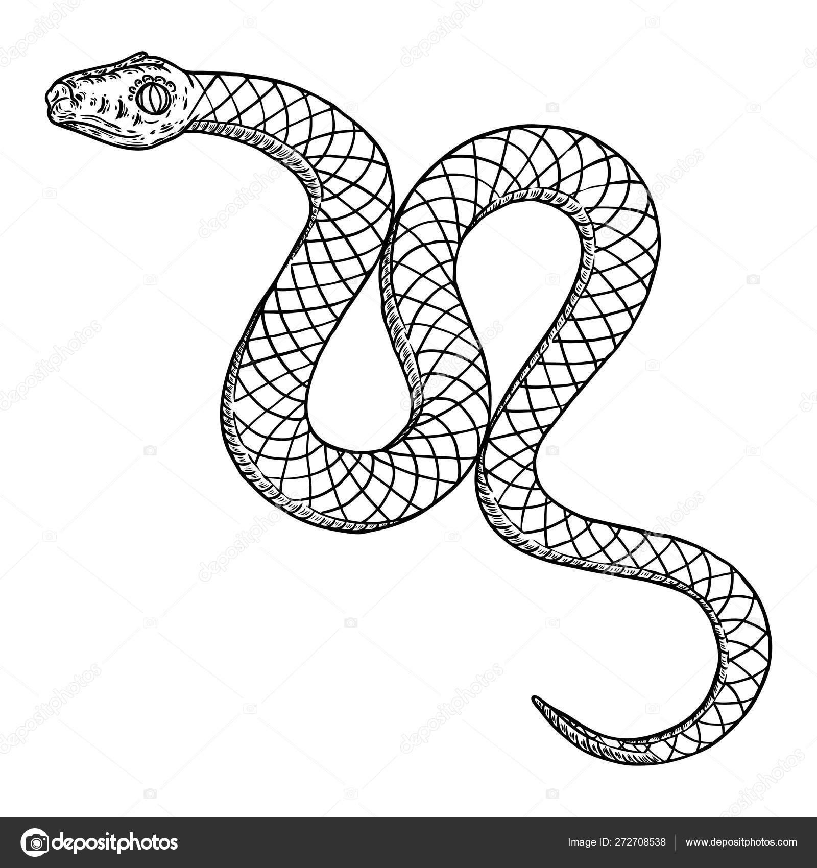 Змея нарисовать вытянутая