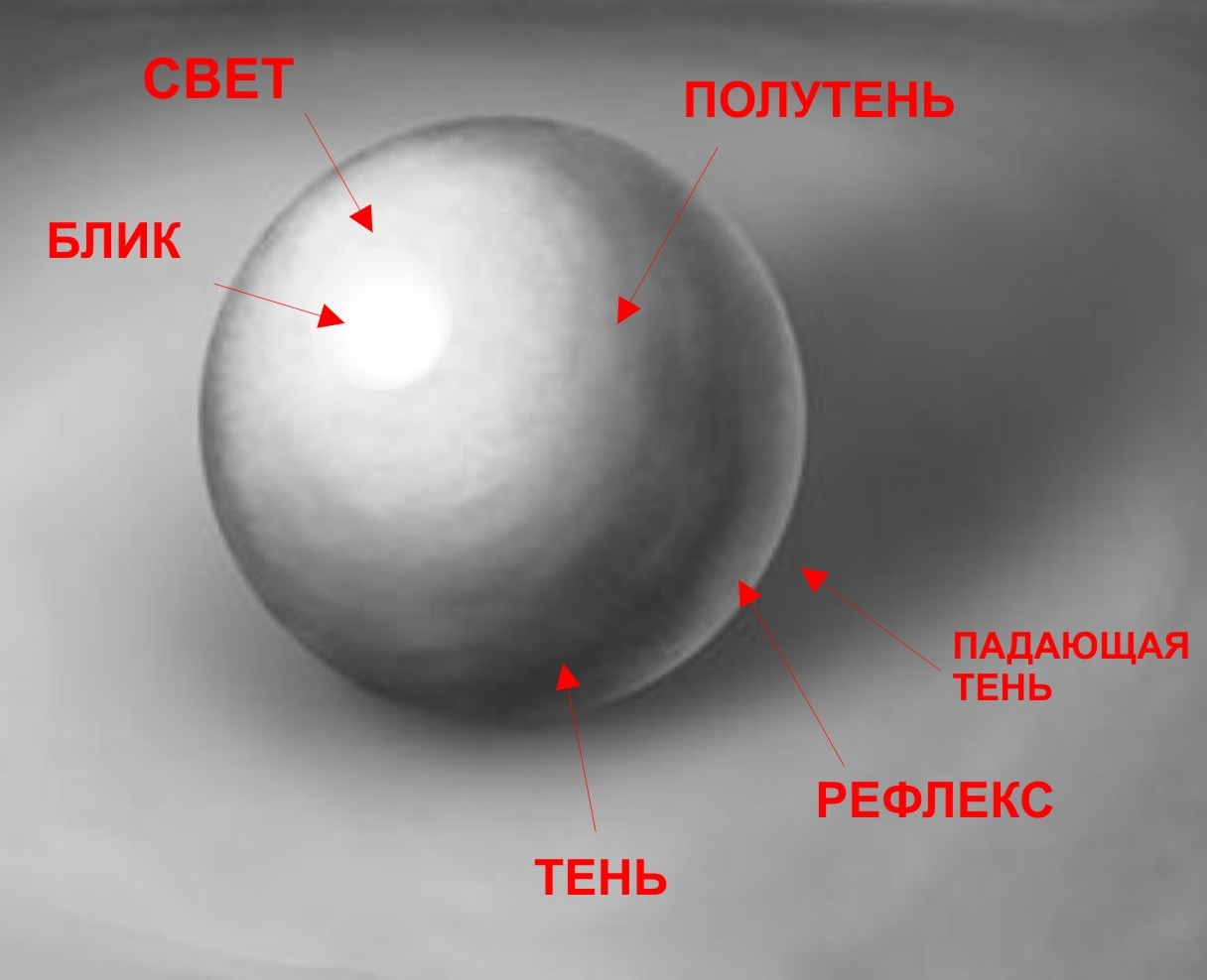 Светотень в рисунке карандашом