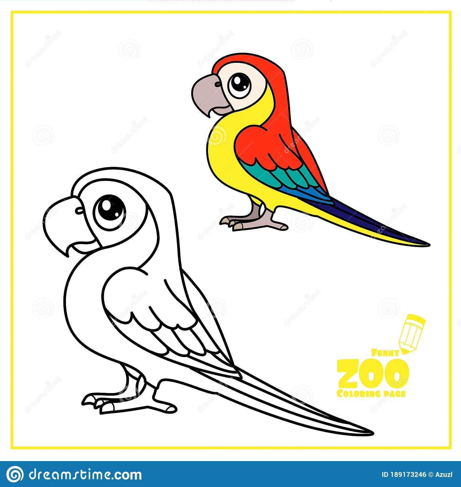 Color a Parrot Worksheet