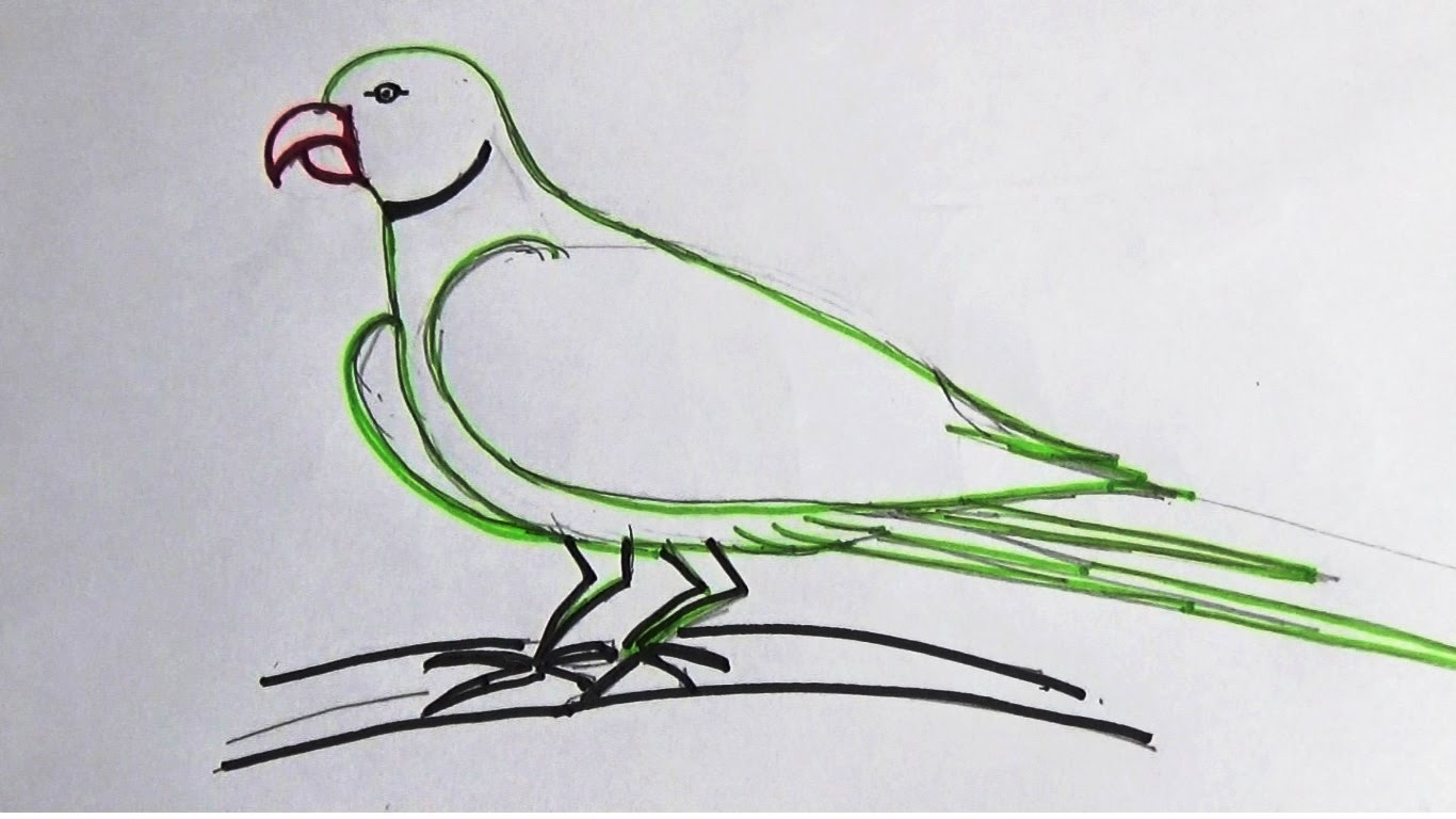 Рисование вилкой попугай