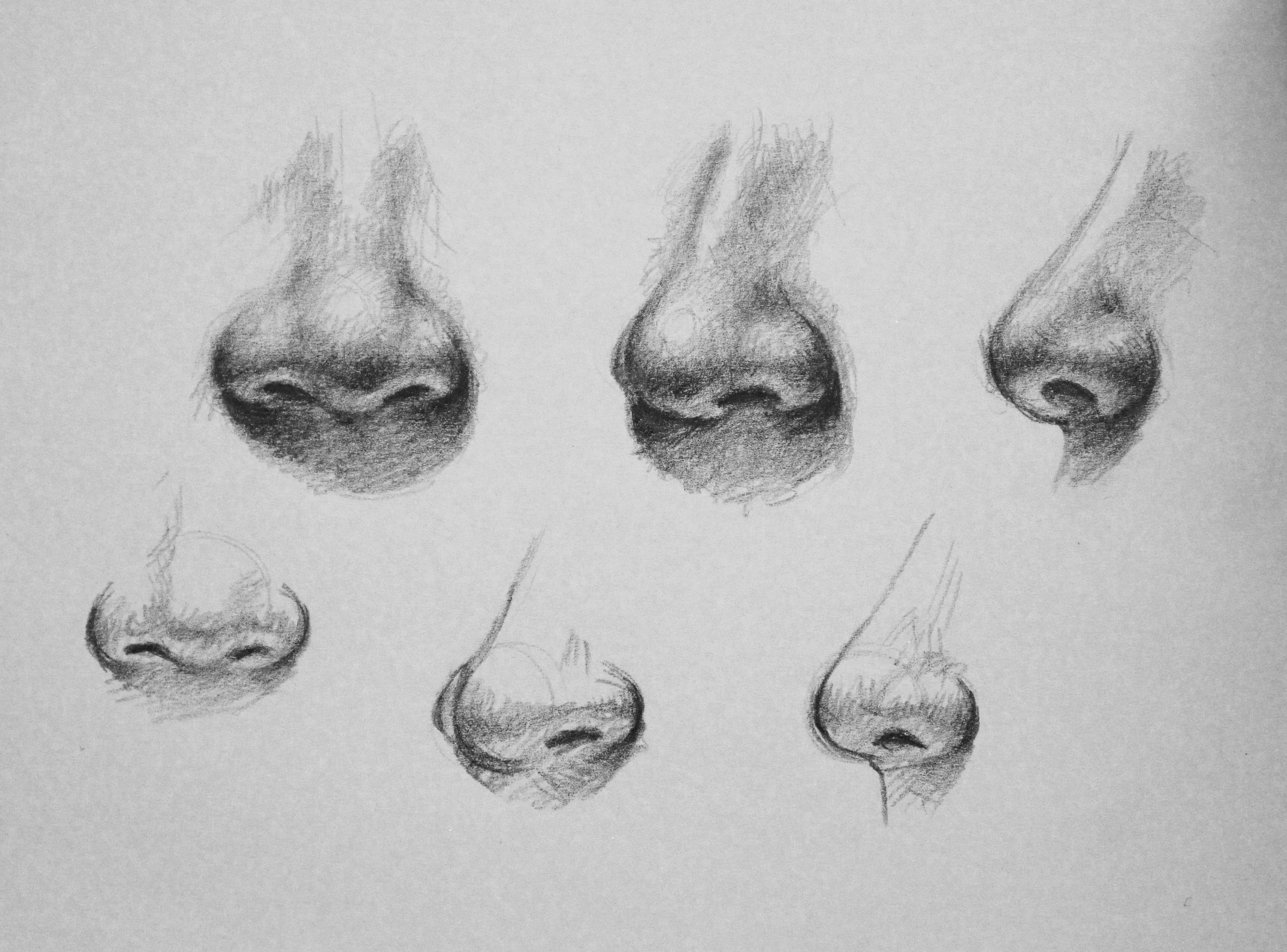 Варианты рисования носа
