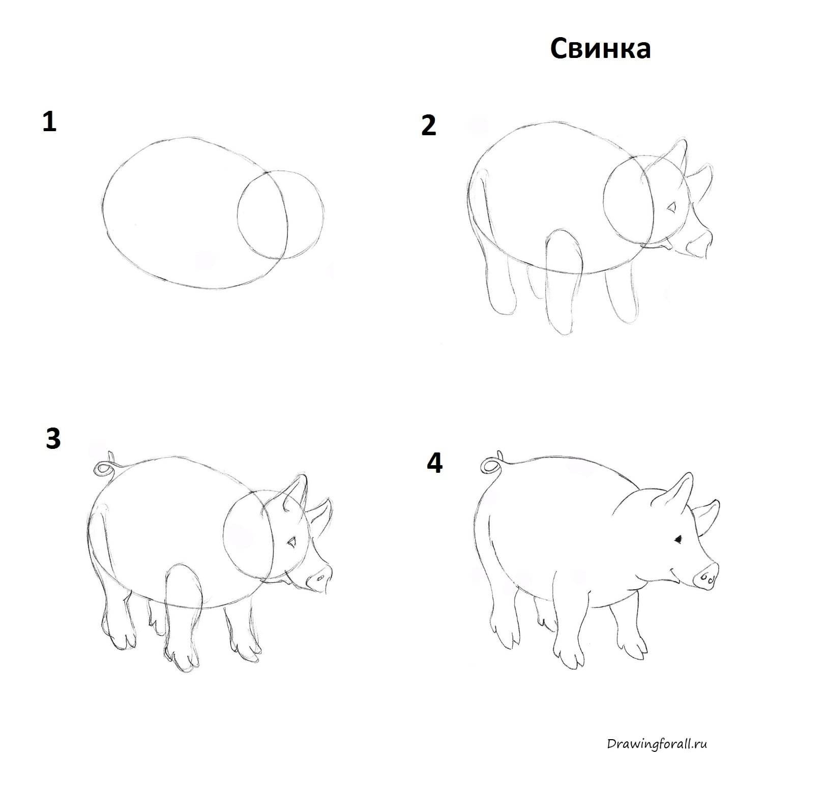 Как нарисовать свинью на новый год карандашом поэтапно | Детские поделки с Василисой