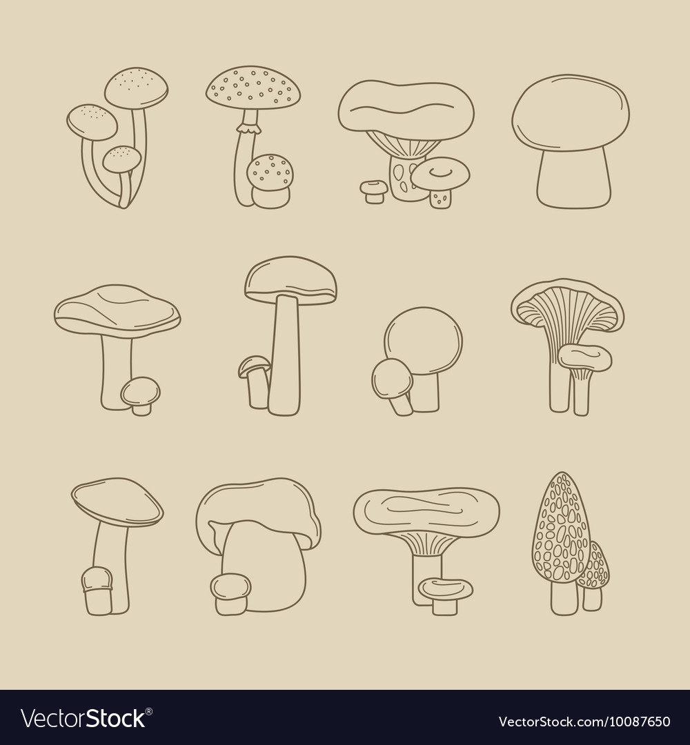 Поэтапное рисование съедобных грибов