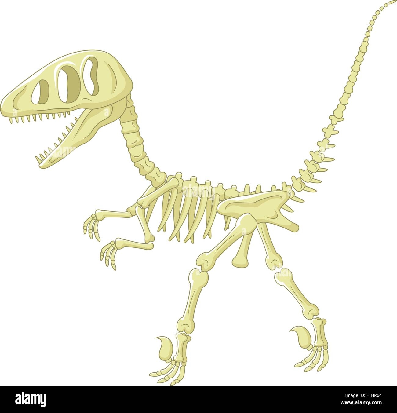 Скелет динозавра рисунок для детей