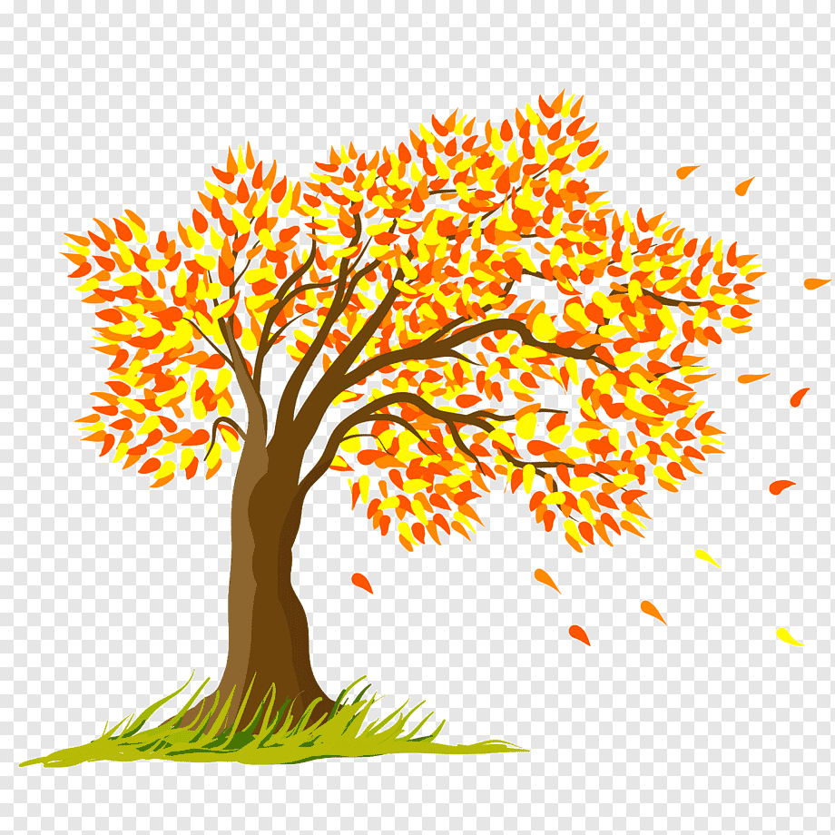 Раскраска Осеннее дерево