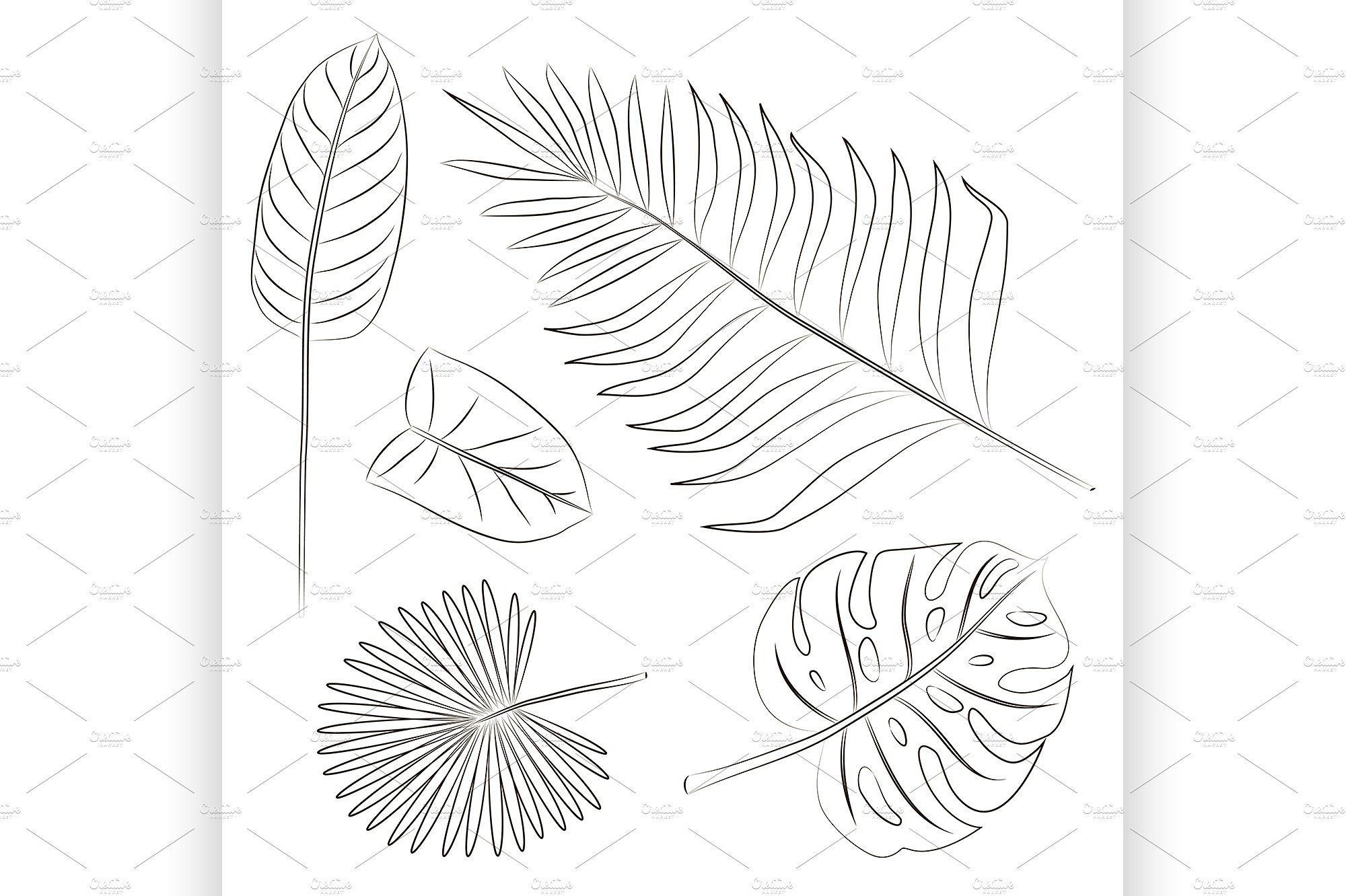 Тропические листья карандашом набросок