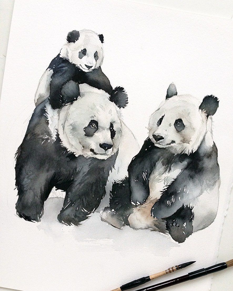 Панда акварелью