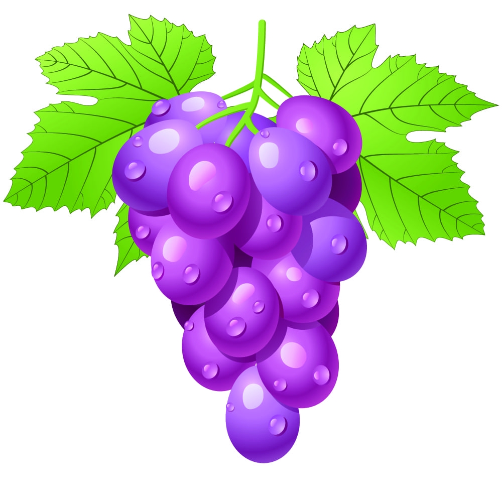 Рисунок виноград для детей - 43 фото