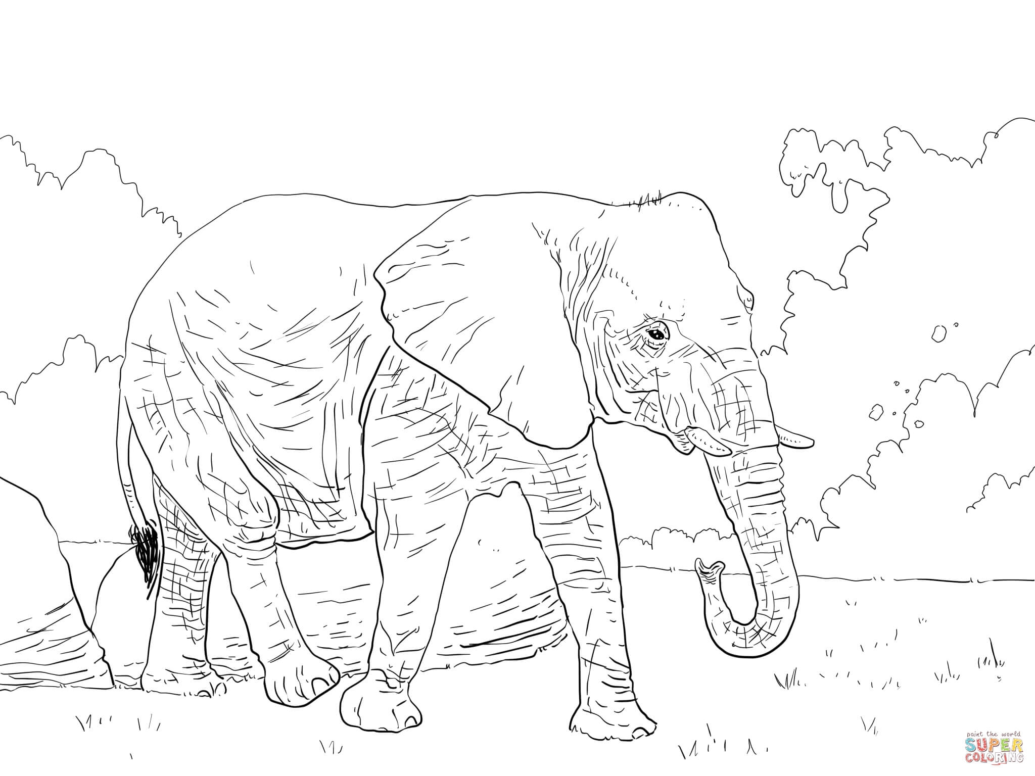 Африканский слон раскраска для детей