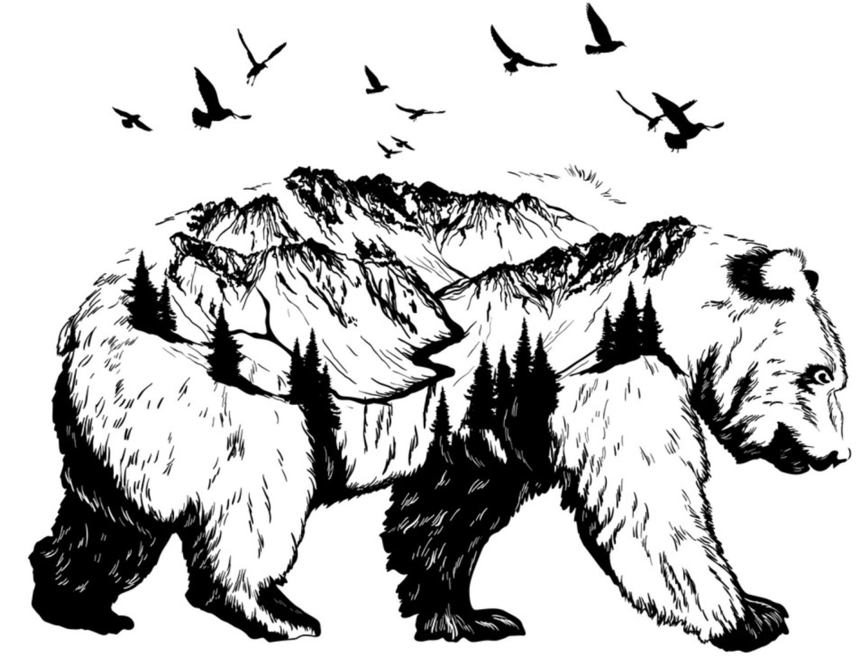 Горный медведь эскиз