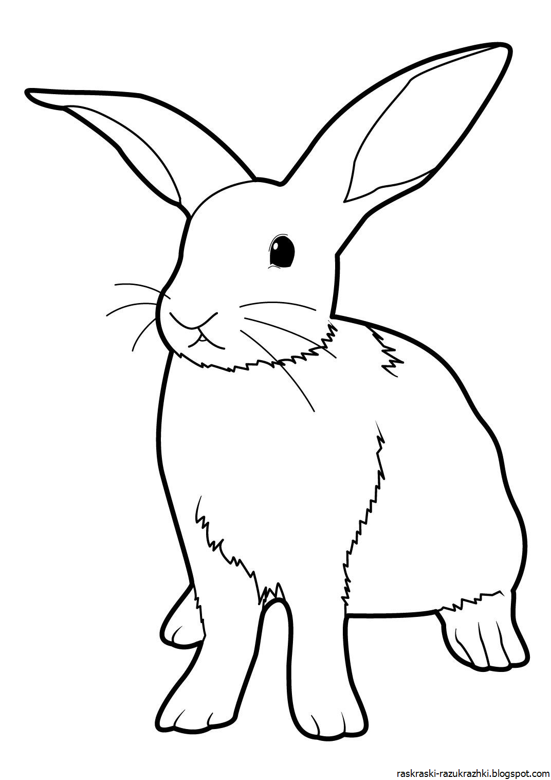 Рисунок раскраска кролик - 56 фото