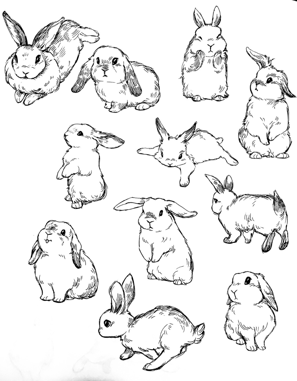 Рисунок раскраска кролик - 56 фото