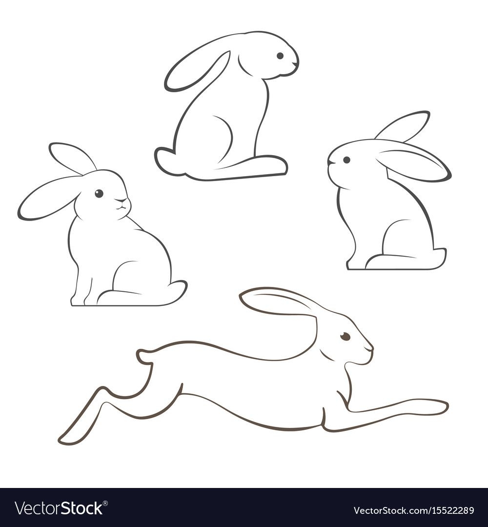Кролик заяц контурный эскиз