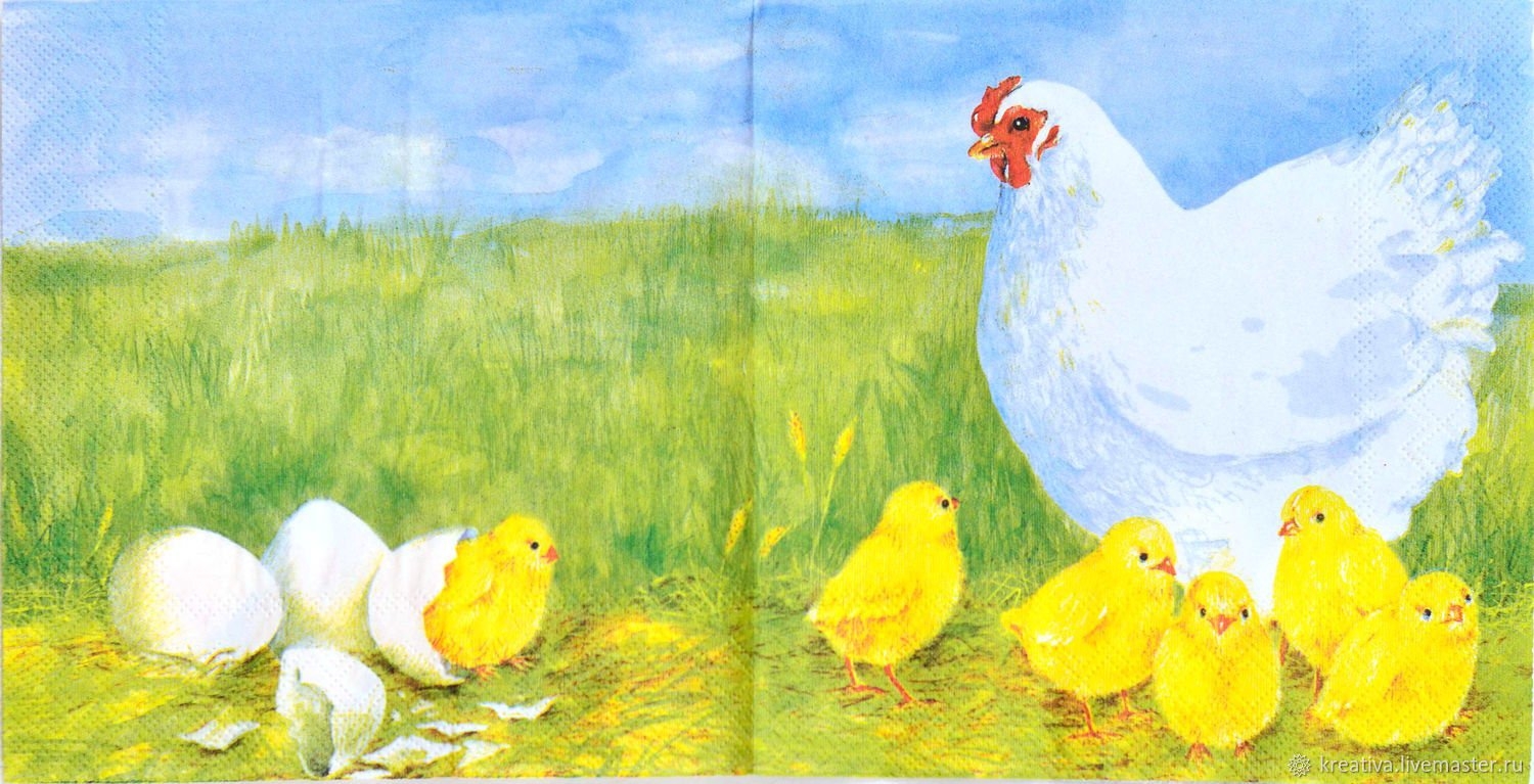 Курица с цыплятами раскраска - 67 фото