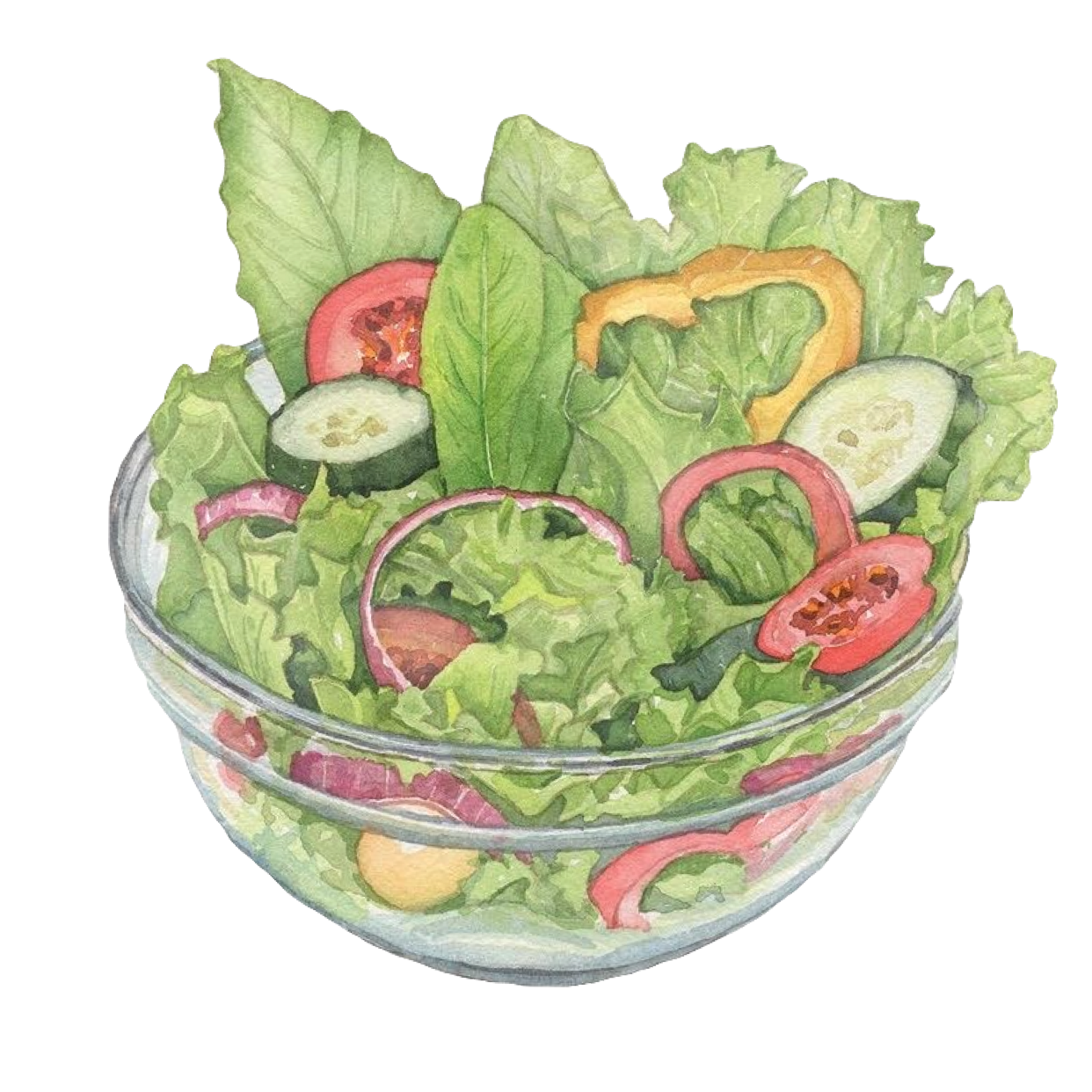 Salad картинка для детей