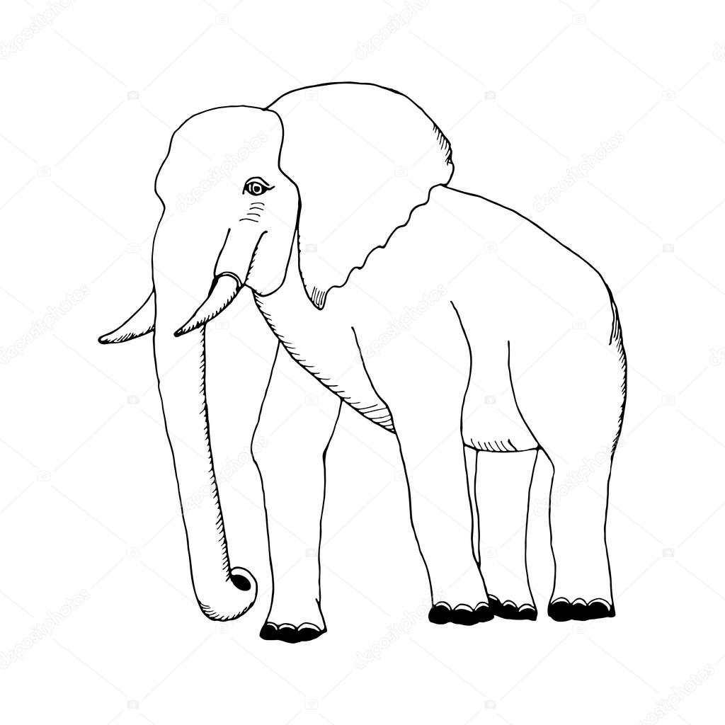 Слон эскиз просто