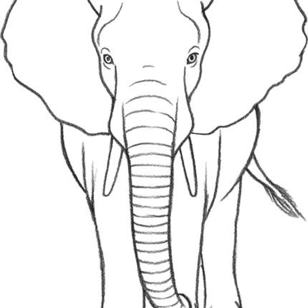 Рисовать слона поэтапно в Индии
