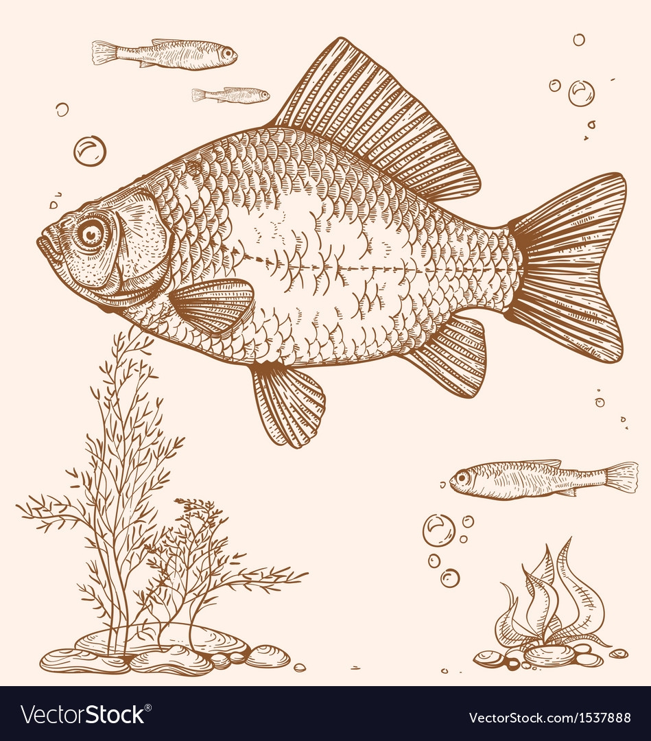 Рисунок большой рыбы