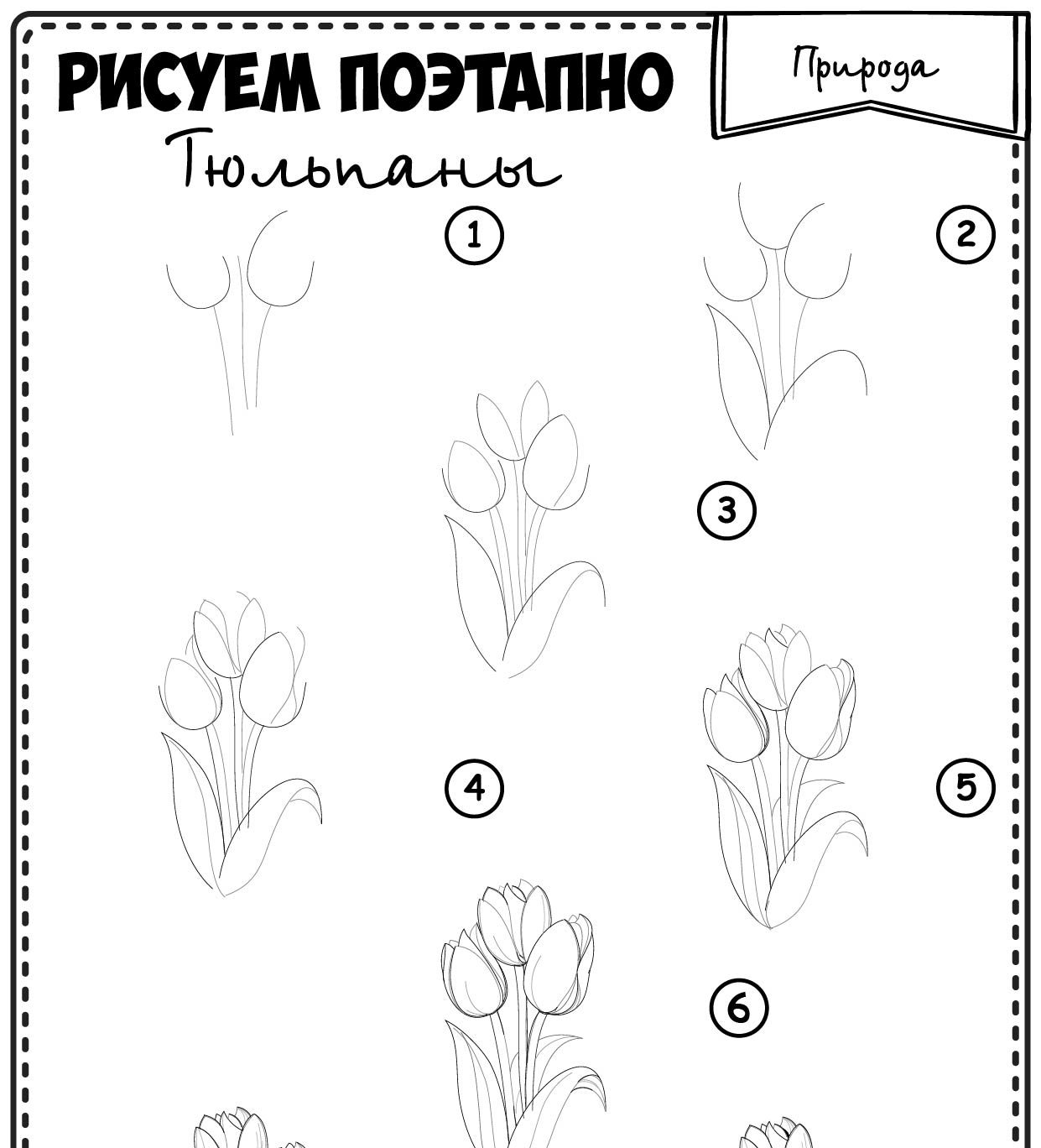 Тюльпаны пошагово. Схемы рисования цветов. Рисование тюльпана пошагово. Поэтапный рисунок тюльпана. Поэтапное рисование тюльпана для детей.