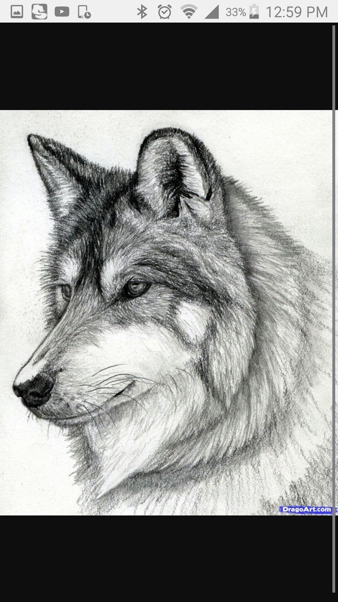 Волк тема для рисования карандашом