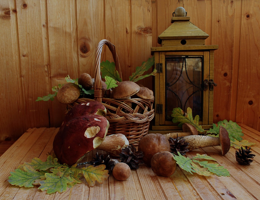 Фото-натюрморт деревенский с грибами