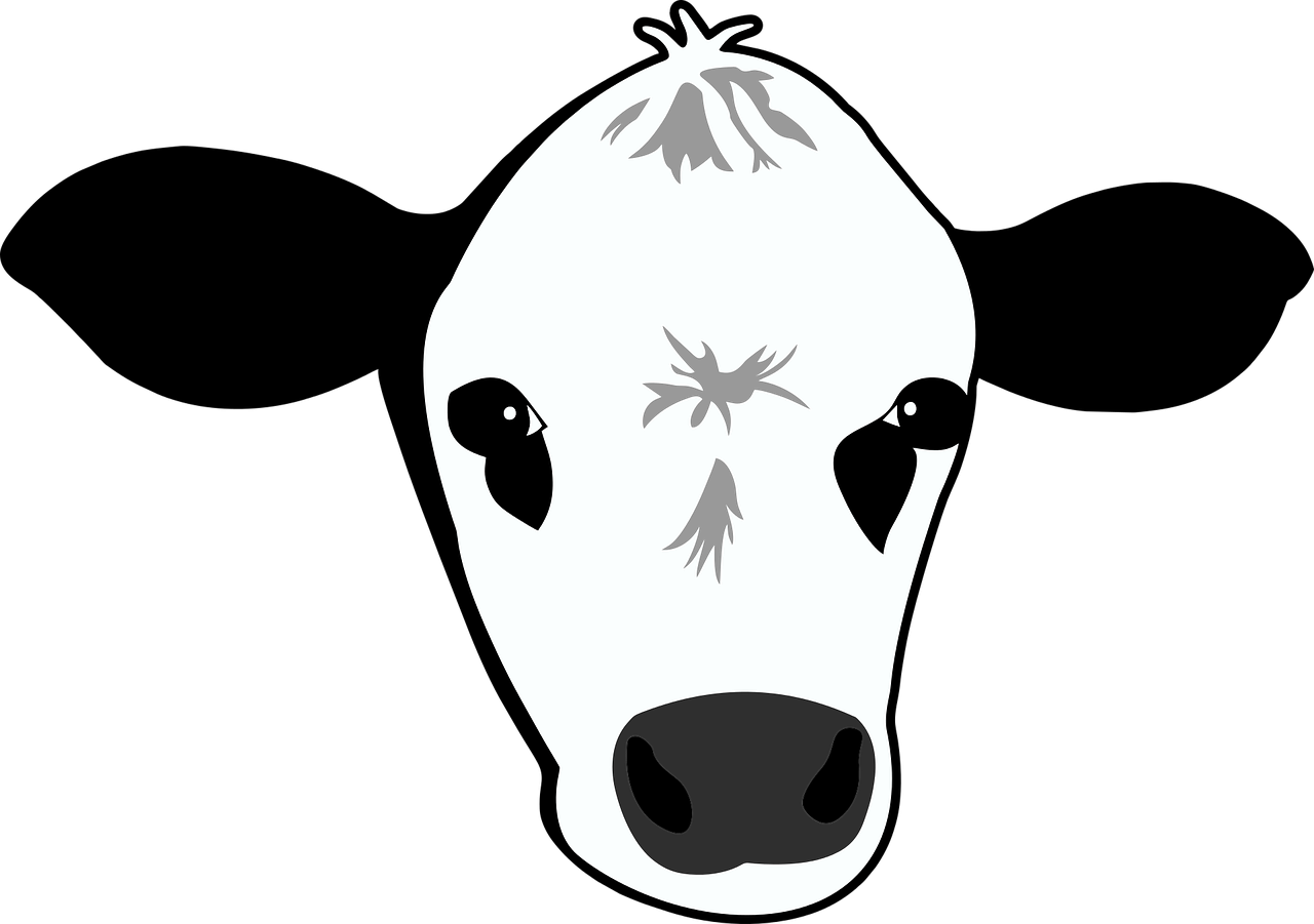Маска коровка. Мордочка коровы. Голова коровы. Нарисовать морду коровы. Мультяшное лицо коровы.