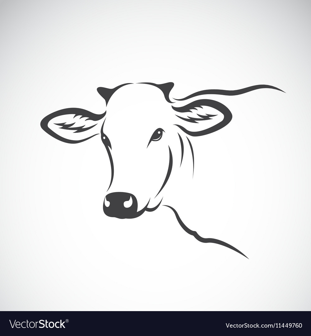 Логотип коровы голова в овале