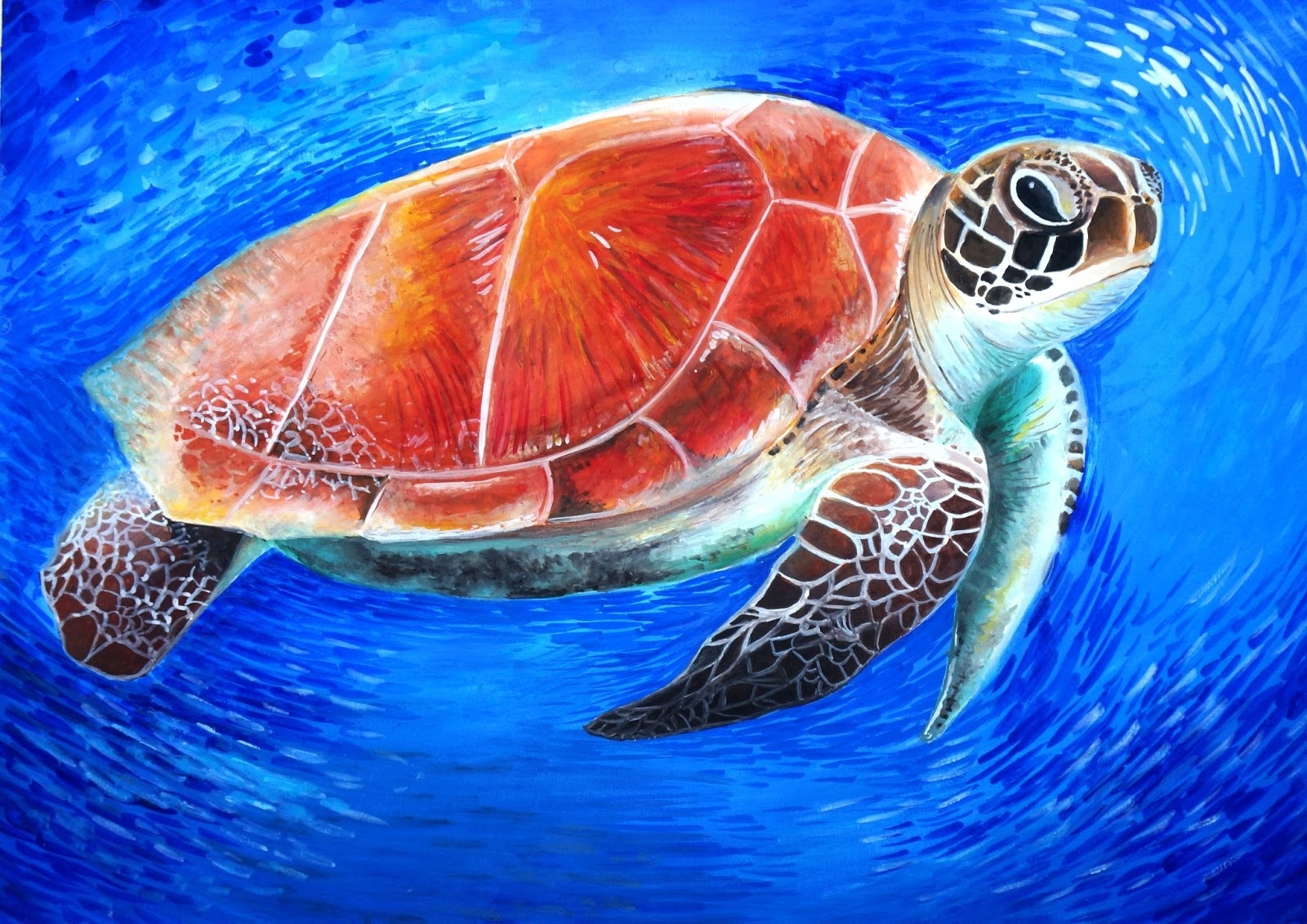 Картины по номерам морская черепаха