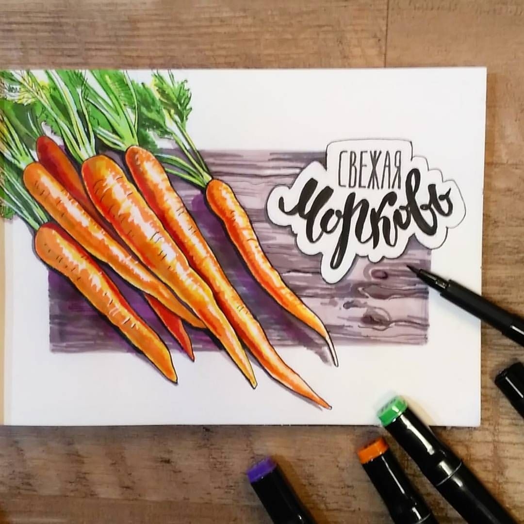 Овощи рисовать маркерами