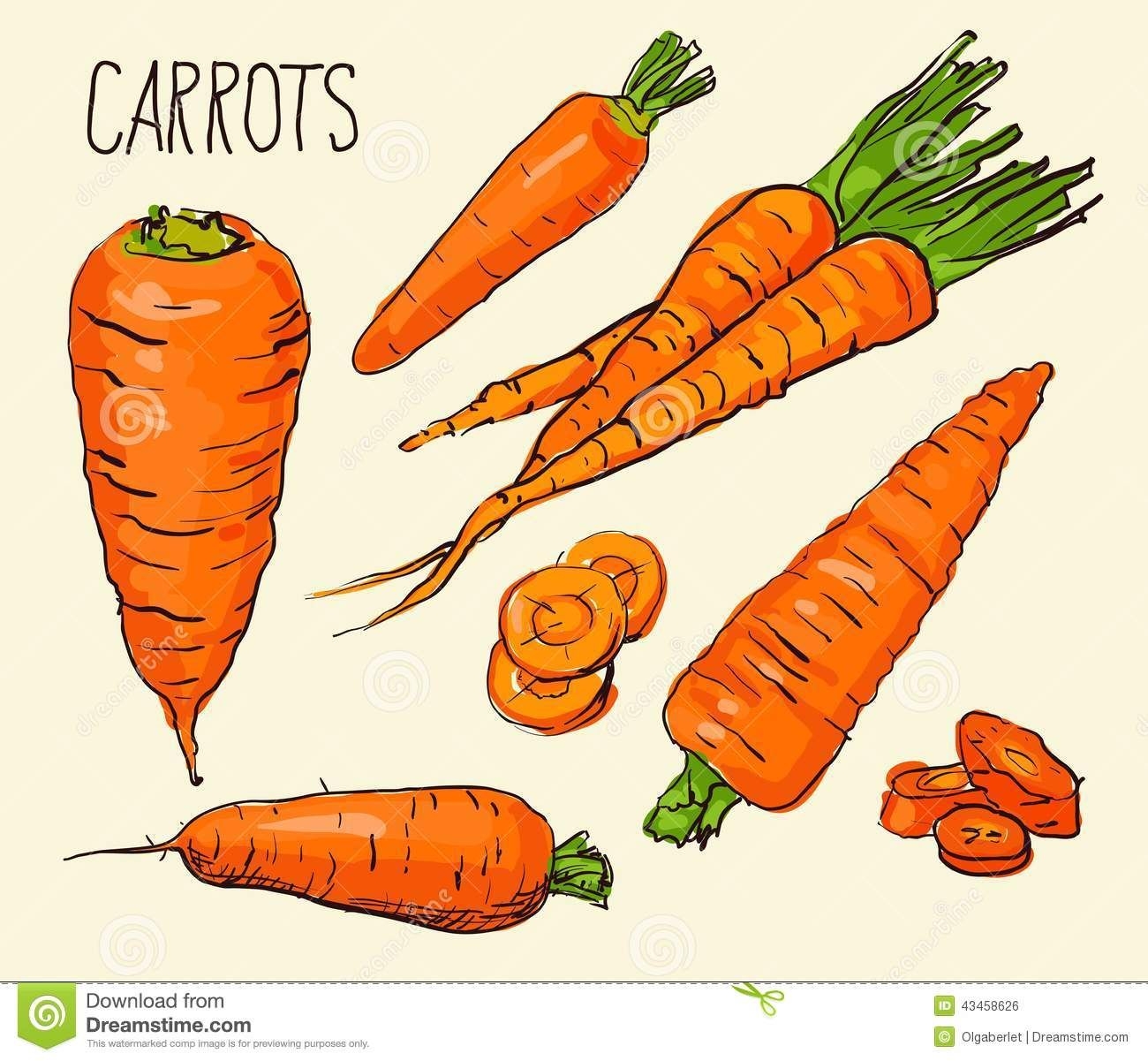 Морковь маркерами